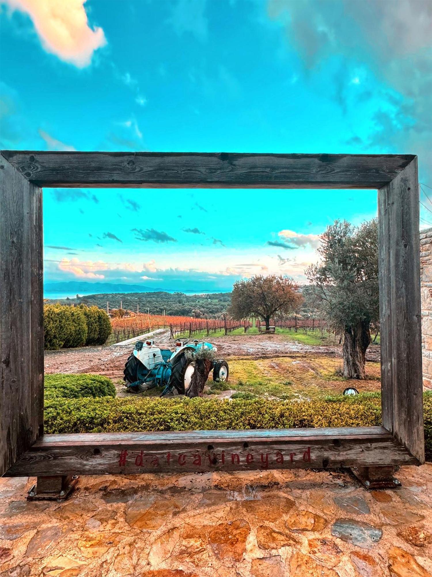 Couette-café Vineyard Datça
