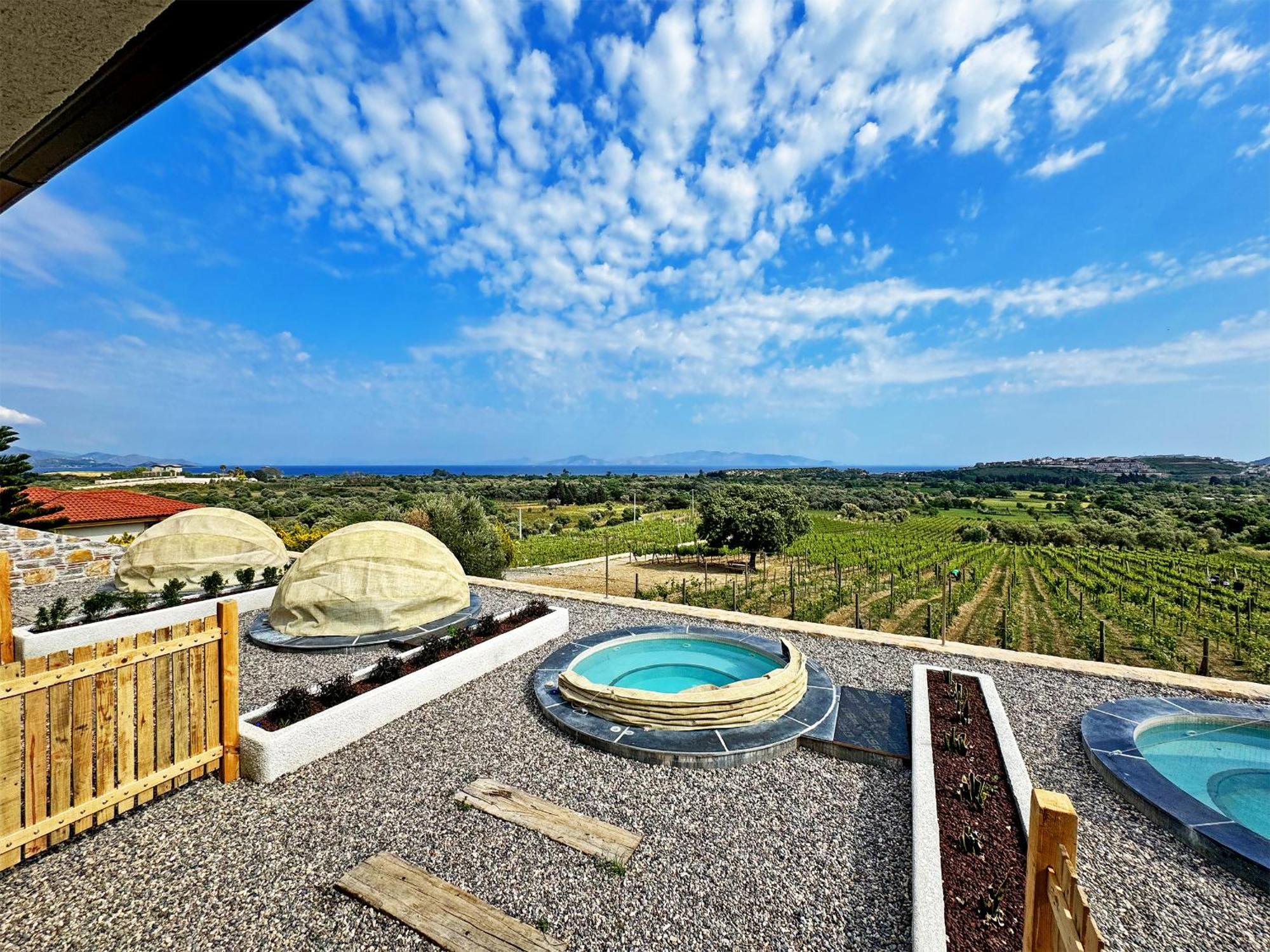Vineyard Датча