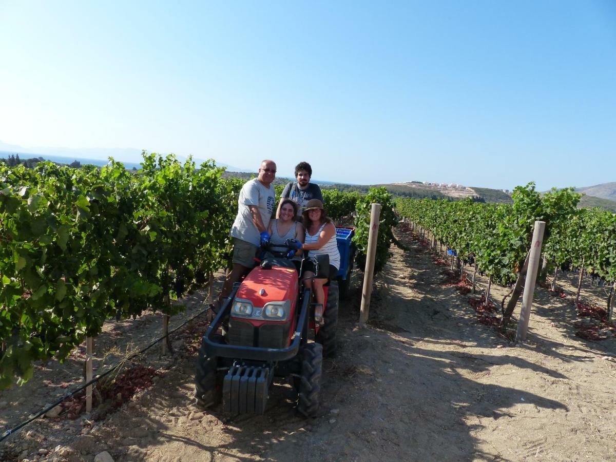 Vineyard Отель типа 