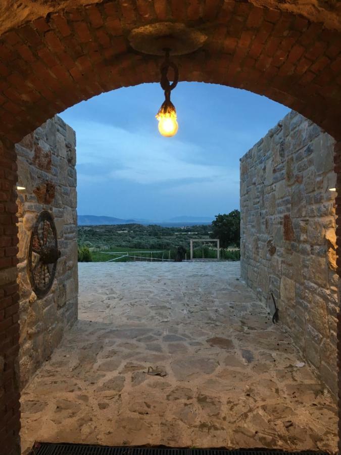 Vineyard Датча