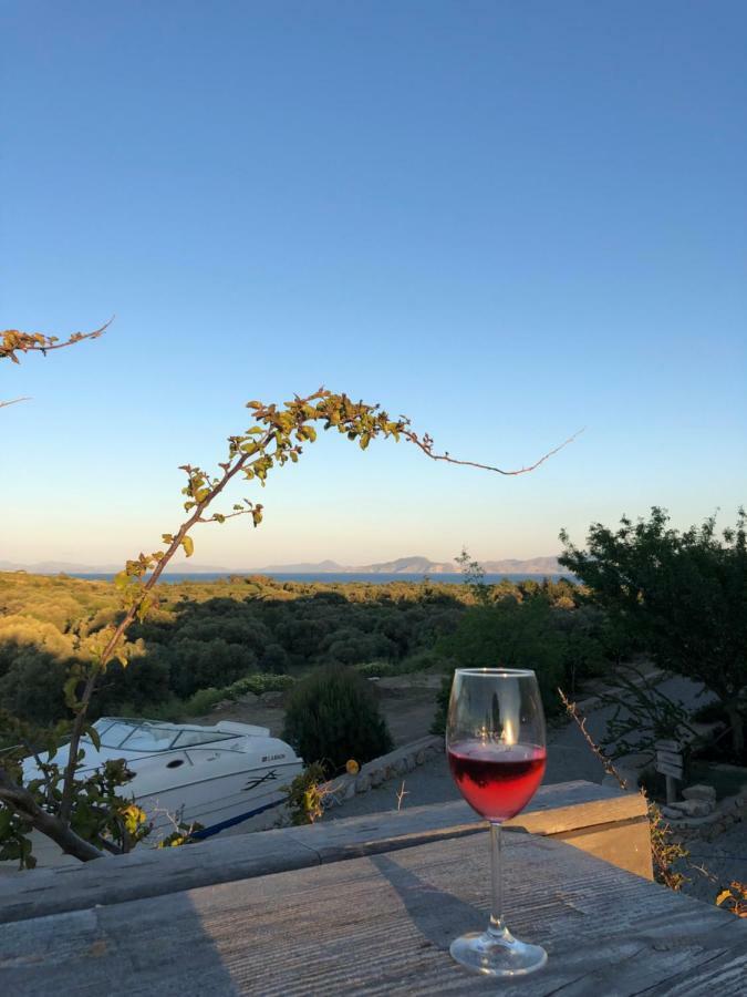 Vineyard Отель типа 